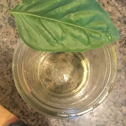 Basil Simple Syrup