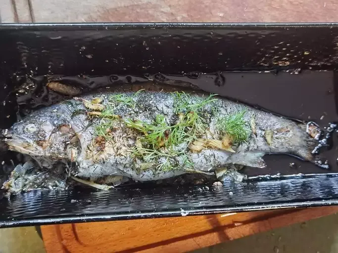 Baked Fresh Rainbow Trout