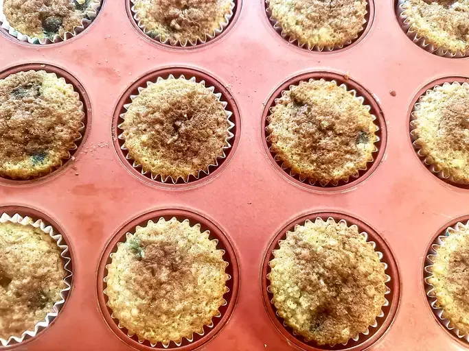 Blueberry Oatmeal Chia Seed Muffins