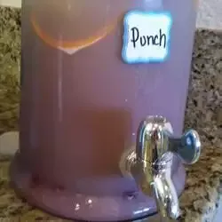 Party Punch VI